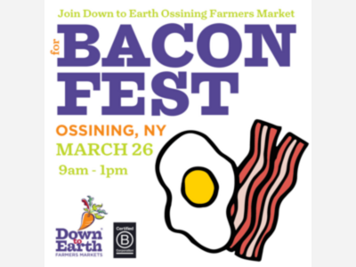 OSSINING: Free Bacon Breakfast Samples At The Down to Earth's Farmers Market's  Bacon Fest