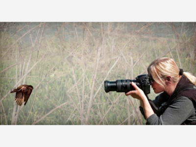 LEWISBORO: The Soul Of The Species Closing Reception At Ward Pound Ridge Reservation