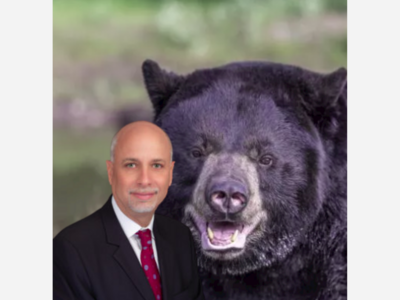 BEAR SIGHTING: Dobbs Ferry Mayor Warns Of A Visitor To The Village