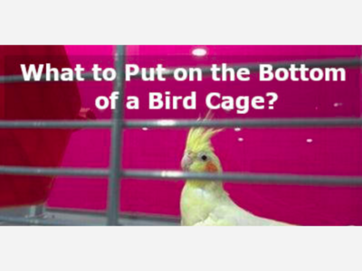 THE STALE BIRD CAGE LINER: Gannett Layoffs Begin At What Is Left Of The Journal News