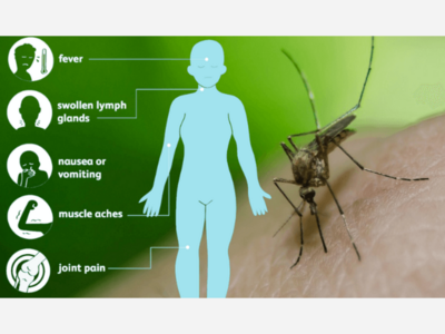HEALTH ALERT: Mosquitoes With West Nile Virus Found In Westchester
